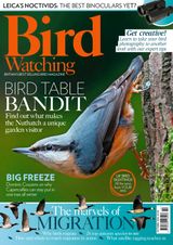 Bird Watching - October 2016 October 2016