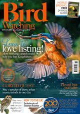 Bird Watching - November 2016 November 2016