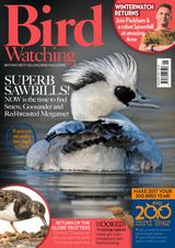 Bird Watching - January 2017 January 2017