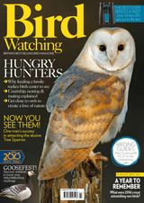 Bird Watching - March 2017 March 2017
