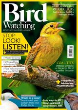 Bird Watching - April 2017 April 2017