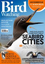 Bird Watching - May 2017 May 2017