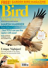 Bird Watching - June 2017 June 2017