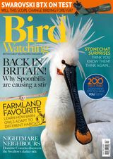 Bird Watching - July 2017 July 2017