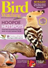 Bird Watching - August 2017 August 2017