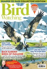 Bird Watching - September 2017 September 2017