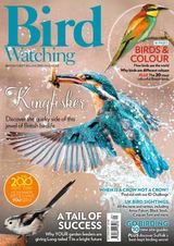 Bird Watching - Autumn 2017 Autumn 2017
