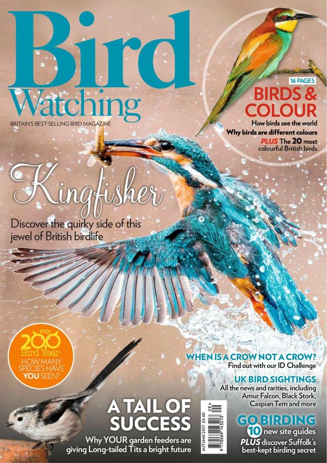 Gå ubegrenset med Magzter GOLD