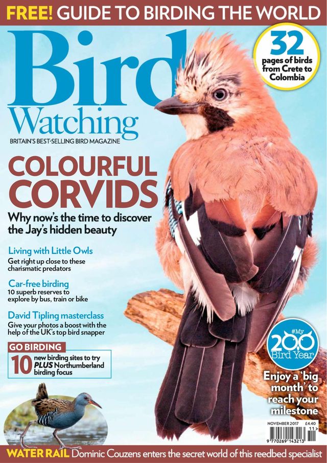 Gå ubegrenset med Magzter GOLD