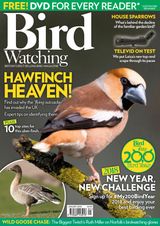 Bird Watching - January 2018 January 2018