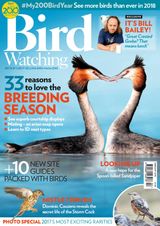 Bird Watching - February 2018 February 2018