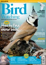 Bird Watching - March 2018 March 2018
