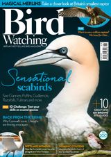 Bird Watching - June 2018 June 2018