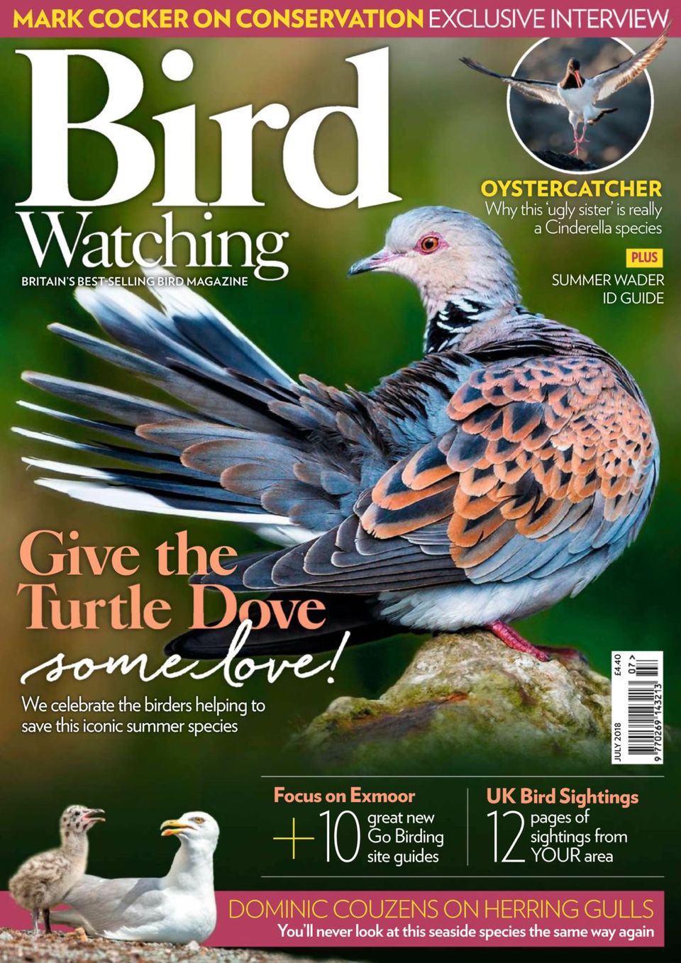 Bird WatchingJuly 2018 Magazine Get your Digital Subscription