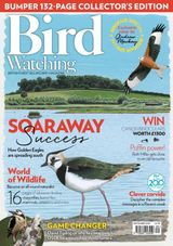 Bird Watching - September 2018 September 2018