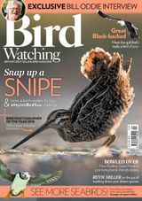 Bird Watching - Autumn 2018 Autumn 2018