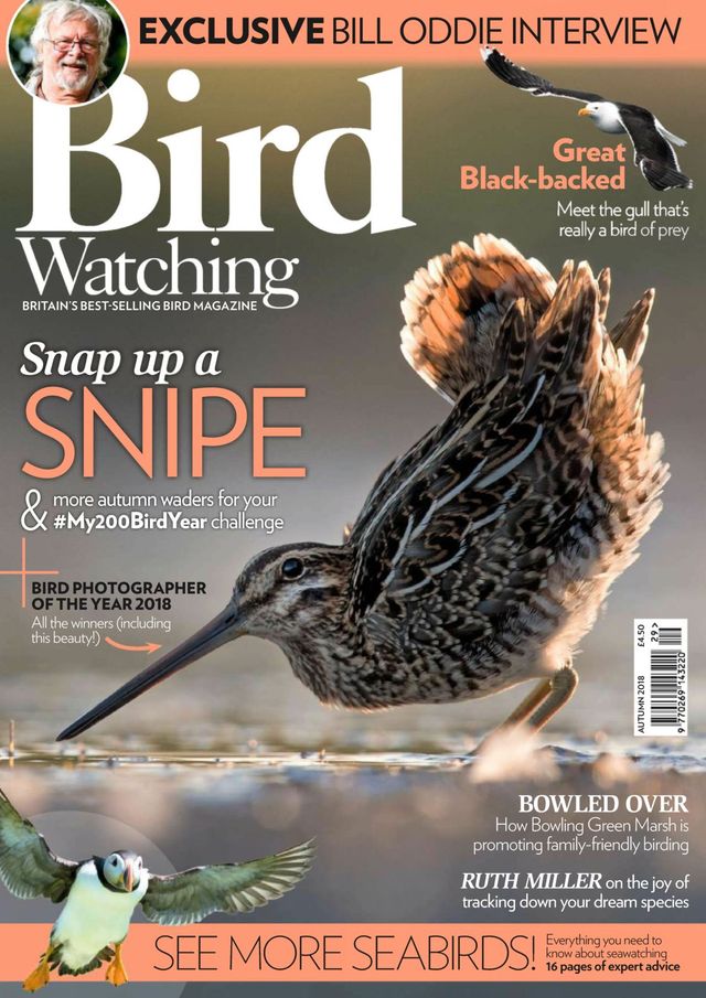 Gå ubegrenset med Magzter GOLD