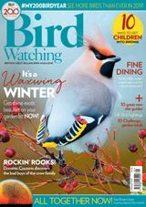 Bird Watching - January 2019 January 2019