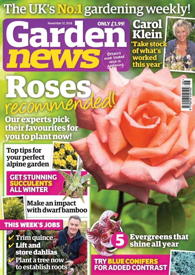 Garden News