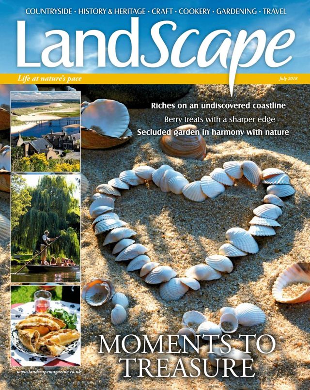 Landscape