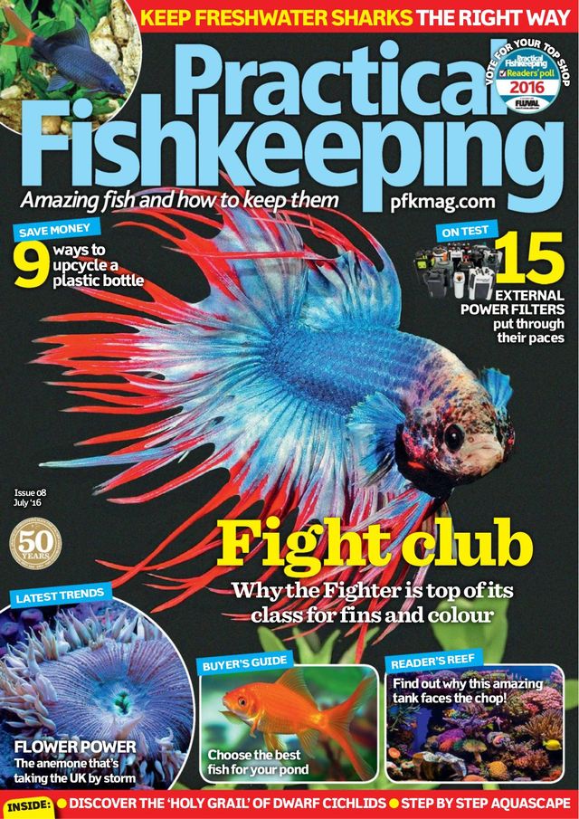 Practical Fishkeeping