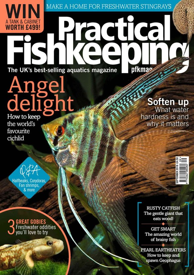 Practical Fishkeeping
