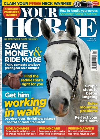 Your Horse