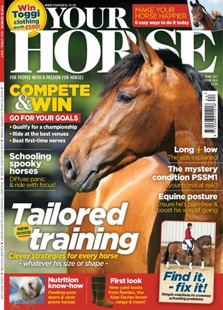Your Horse