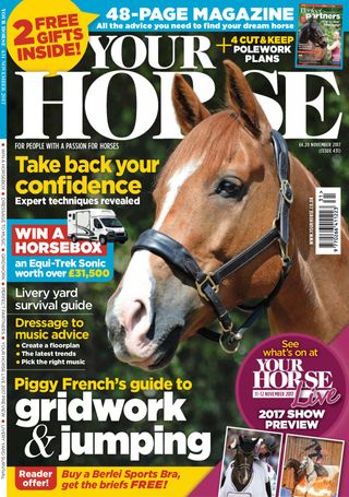 Your Horse