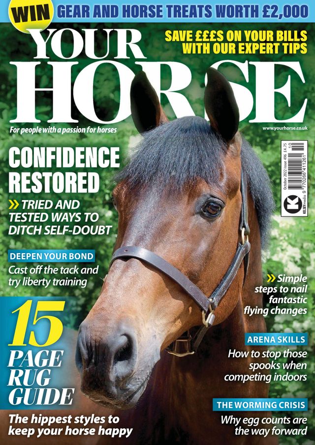 Your Horse