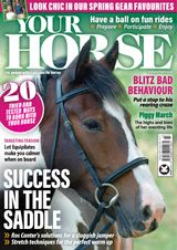 Issue 503