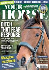 Issue 504