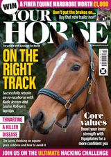 Issue 506