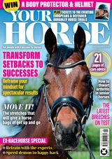 Your Horse