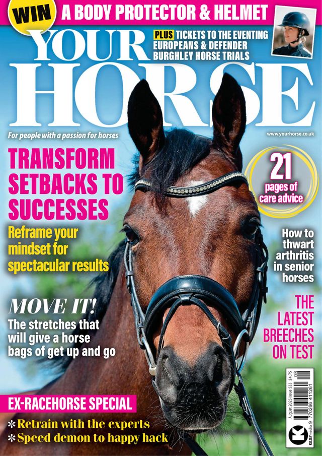Your Horse