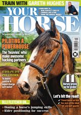Your Horse