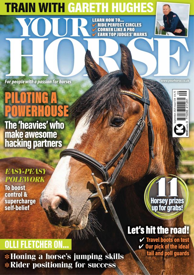 Your Horse