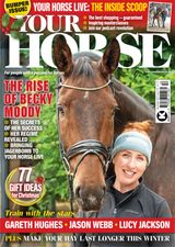 Your Horse