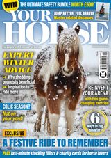 Your Horse