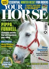 Your Horse