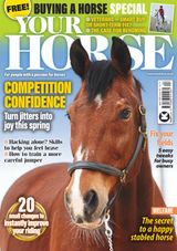 Your Horse