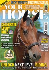 Your Horse