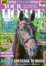 Your Horse