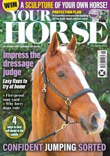Your Horse