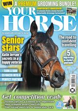 Your Horse