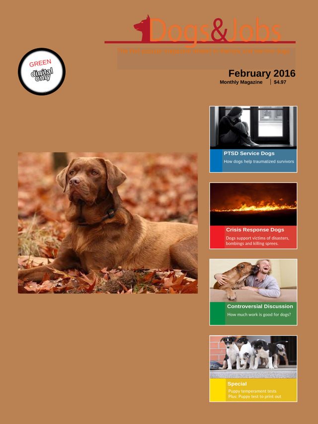 Dogs&Jobs