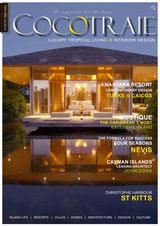Issue 3