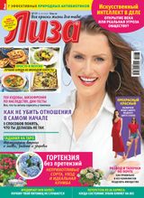 Issue 29, 2023