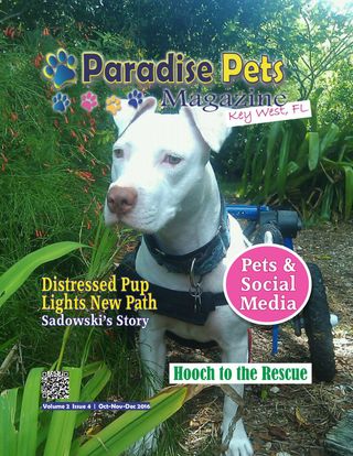 Paradise Pets Magazine, Key West, FL