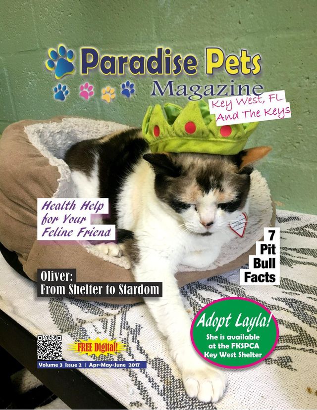 Paradise Pets Magazine, Key West, FL